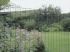 Betafence - Pantanet Light - Gelast tuingaas - Groen BF6073 - 60 cm - 10 meter