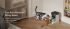 PETLIBRO Rfid met wifi en halsbandsensor - Automatische voerbak - 