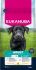 Eukanuba Adult Large/Extra Large  - Hondenvoer - Kip - 12 kg