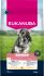 Eukanuba Senior Small  - Hondenvoer - Kip - 7,5 kg