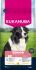 Eukanuba Senior Medium  - Hondenvoer - Kip - 12 kg
