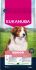 Eukanuba Senior Small/Medium  - Hondenvoer - Lam - 12 kg