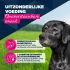 Eukanuba Senior Paté  - Hondenvoer - Lam - 400 gram