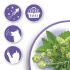 Beaphar No Stress- Tabletten - 20 stuks
