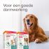 Beaphar IntestoPro Kat - Hond tot 20kg - Verlicht darmproblemen - 20 stuks