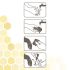 Beaphar Derma+ zalf - Wondverzorging Hond - 30 ml
