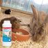 Beaphar Geurstop Knaagdier - Reinigingsmiddel - 600 ml