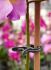 Nature Plantenclips 24mm - Klim- en Geleide Artikelen - Accessoires - 10 stuks