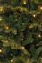 Black Box Trees Frasier - Kunstkerstboom - 230 cm