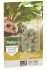 Pokon Kamerplanten voedingskegels - Siertuinmeststof - 10 stuks