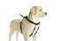 Beeztees Gentle Walker - Borsttuig Hond - Zwart