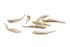 Beeztees Gedroogdde visjes - Kattensnack - 100 gram