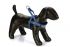 Beeztees Premium Parinca - Hondentuig - Blauw
