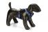 Beeztees Premium Parinca - Y-tuig Hond - Blauw