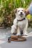 Beeztees Balacron - Poepzakhouder Hond - Bruin - Kunstleer - 8x5 cm