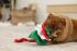 Beeztees Kerstboom - Knuffel - Flowtouw- Kerst Hondenspeelgoed - 