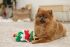Beeztees Kerstboom - Knuffel - Flowtouw- Kerst Hondenspeelgoed - 
