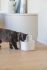 Beeztees Sef - Drinkfontein - 2,5 liter - 26x17x17,5 cm - Wit