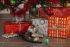 Beeztees Kerstmuizen - Kattenspeeltje - Rood/Groen - 10x4x4 cm - 4 stuks