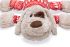 Beeztees Comet - Knuffel - Hondenspeelgoed - Multi - XL - 45x46x13 cm