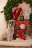 Beeztees Kerstman Spiraal - Knuffel - Hondenspeelgoed - Rood - 32,5x16x8 cm