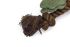 Beeztees Eikel met Touw - Knuffel - Hondenspeelgoed - Bruin - 24x11x10 cm