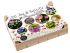 Bloembollenmix Biodiversiteit - Bloembollen - Gemengd - 100 stuks