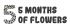 Bloembollenmix  5 Maanden Bloemen - Bloembollen - Gemengd - 120 stuks