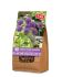 Florex Allium - Bloembollen -  XL zak - Paars - 50 stuks