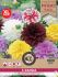 Dahlia Grootbloemig  Dekoratief - Bloembollen - Gemengd - 5 stuks