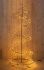 Anna's Collection - Swirl Lichtboom - 210 cm