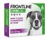 Frontline Combo Spot On - Pipet - Anti vlooien en Teken Hond - 6 pipetten - 20-40 kg