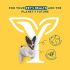 Yarrah Puppy-Adult Small Biologisch - Hondenvoer - Kip - 5 kg