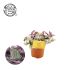Tradescantia Sweetness (eendagsbloem) - Kamerplant - ⌀ 10,5 cm