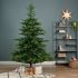 Everlands Grandis Fir - Kunstkerstboom - 210 cm