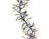 Lumineo Clusterverlichting - Kerstverlichting - 1128 lampjes - Klassiek warm wit