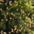 Lumineo Clusterverlichting - Kerstverlichting - 1128 lampjes - Klassiek warm wit