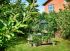 Halls Qube 68 - Tuinkas - Zwart - 259x198x219 cm - Veiligheidsglas