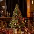 Everlands Grandis Fir - Kunstkerstboom - 180 cm