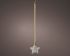 Lumineo LED Ster - Hanglamp