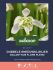 Welkoop Select Dubbele Sneeuwklokjes Galanthus Flore Pleno - Bloembollen - Multi - 8 stuks