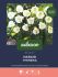Welkoop Select Narcis Theresia - Bloembollen - Multi - 6 stuks