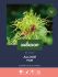 Welkoop Select Allium Pam - Bloembollen - Multi - 15 stuks