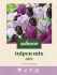 Welkoop Tulpen mix Ans - Bloembollen - Multi - 20 stuks