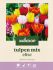 Welkoop Tulpen mix Elise - Bloembollen - Multi - 25 stuks