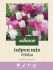 Welkoop Tulpen mix Elisha - Bloembollen - Multi - 20 stuks