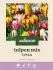 Welkoop Tulpen mix Tessa - Bloembollen - Multi - 20 stuks