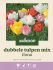 Welkoop Dubbele Tulpen mix  Ilona - Bloembollen - Multi - 20 stuks