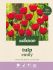 Welkoop Tulp Emily - Bloembollen - Multi - 20 stuks