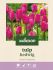 Welkoop Tulp Hedwig  - Bloembollen - Multi - 20 stuks